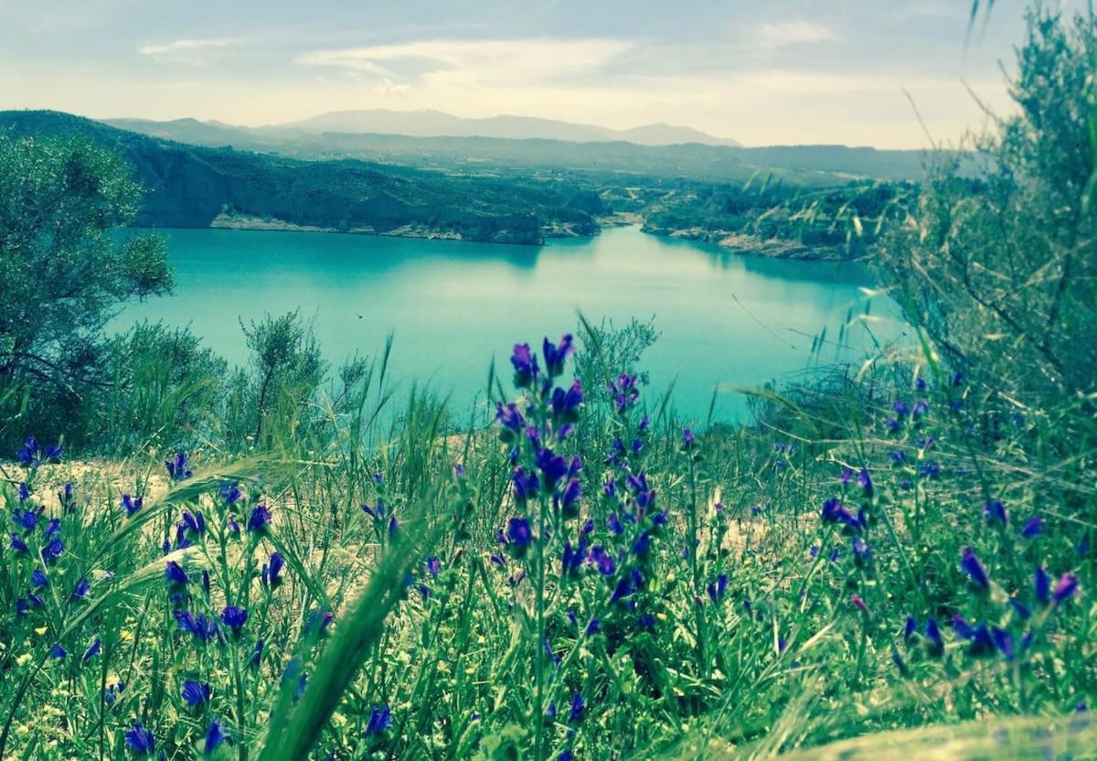 Cortijo Paraiso Charcon Higuera Экстерьер фото