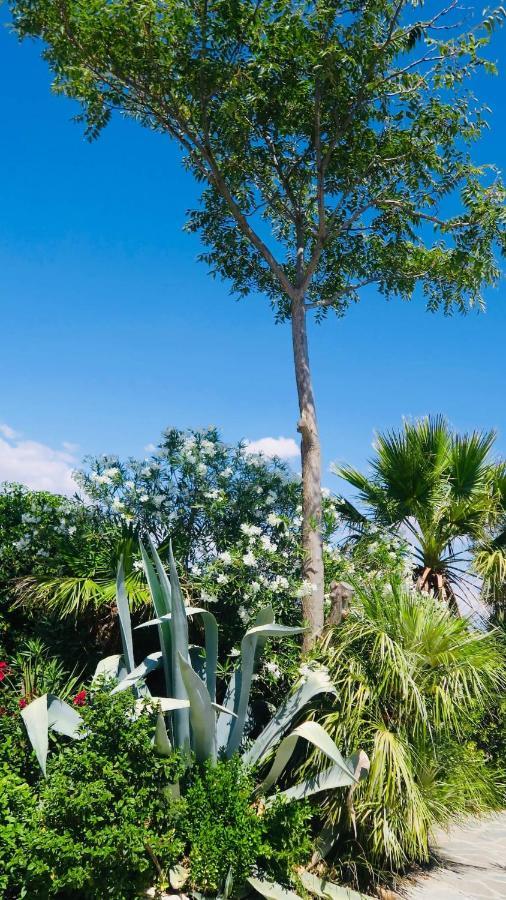 Cortijo Paraiso Charcon Higuera Экстерьер фото
