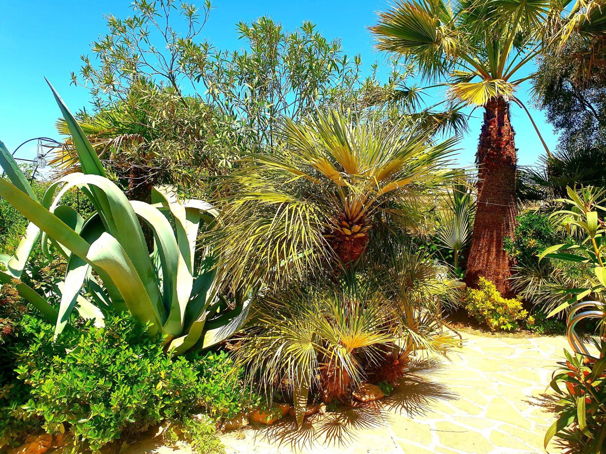 Cortijo Paraiso Charcon Higuera Номер фото