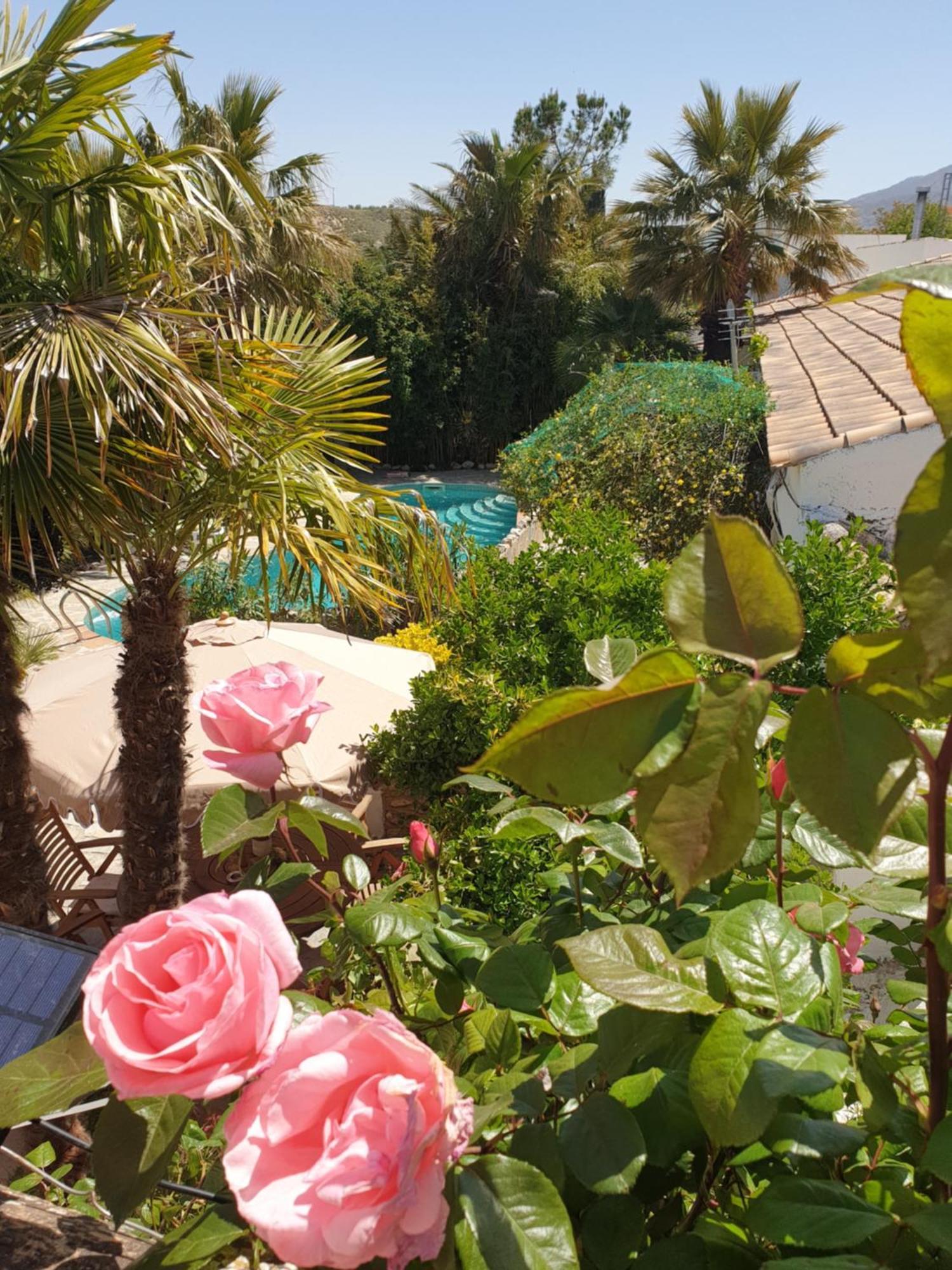 Cortijo Paraiso Charcon Higuera Экстерьер фото